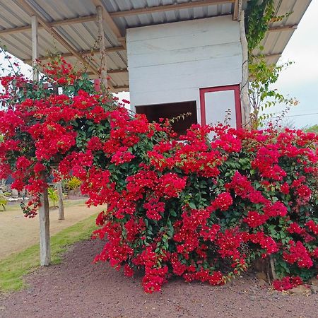 فيلا La Candelaria, Casa De Huespedes. بويرتو بكويريزو مورينو المظهر الخارجي الصورة